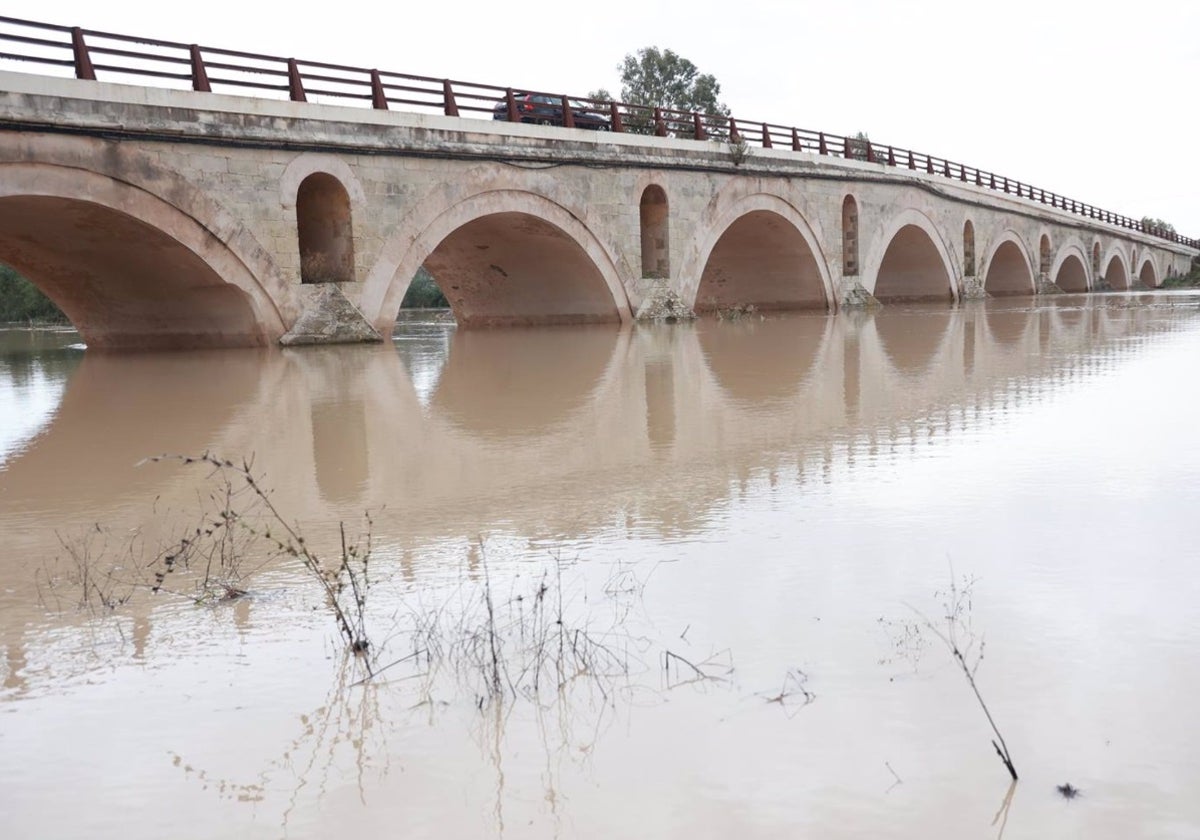 Crecida del río Guadalete a su paso por el puente de la Cartuja.