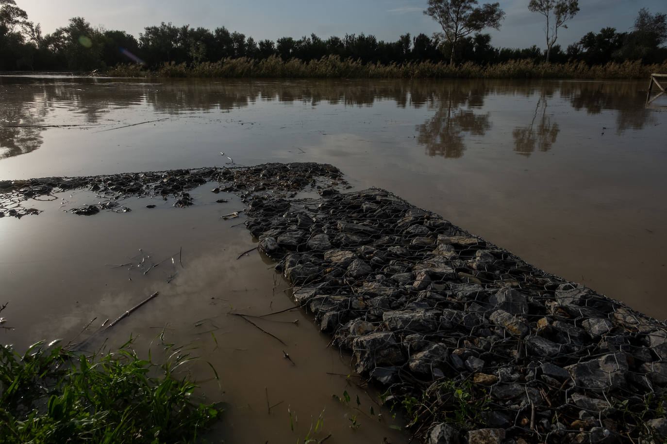 Fotos: Jerez trata de recuperar la normalidad después de las lluvias y la crecida del Guadalete