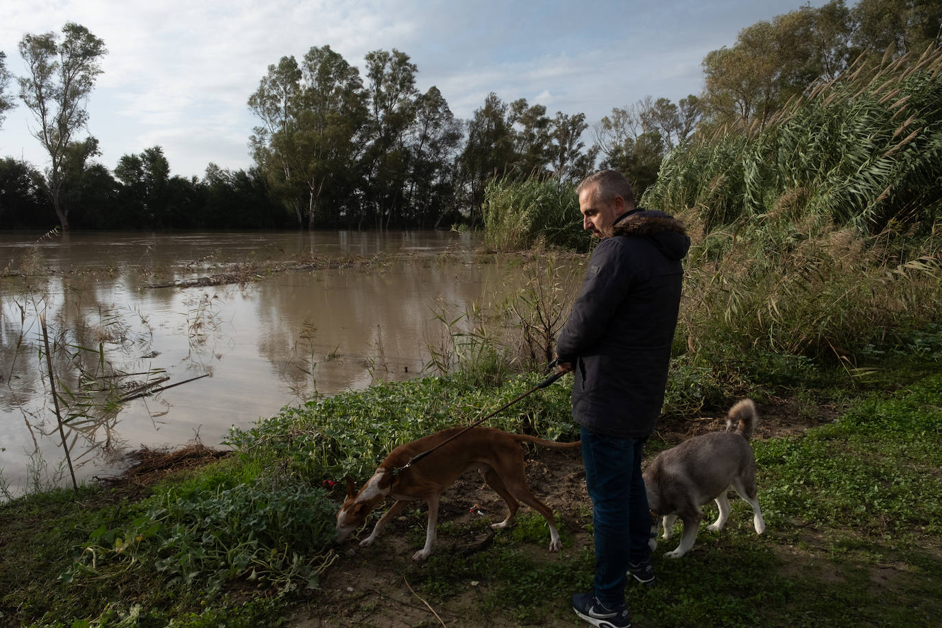 Fotos: Jerez trata de recuperar la normalidad después de las lluvias y la crecida del Guadalete