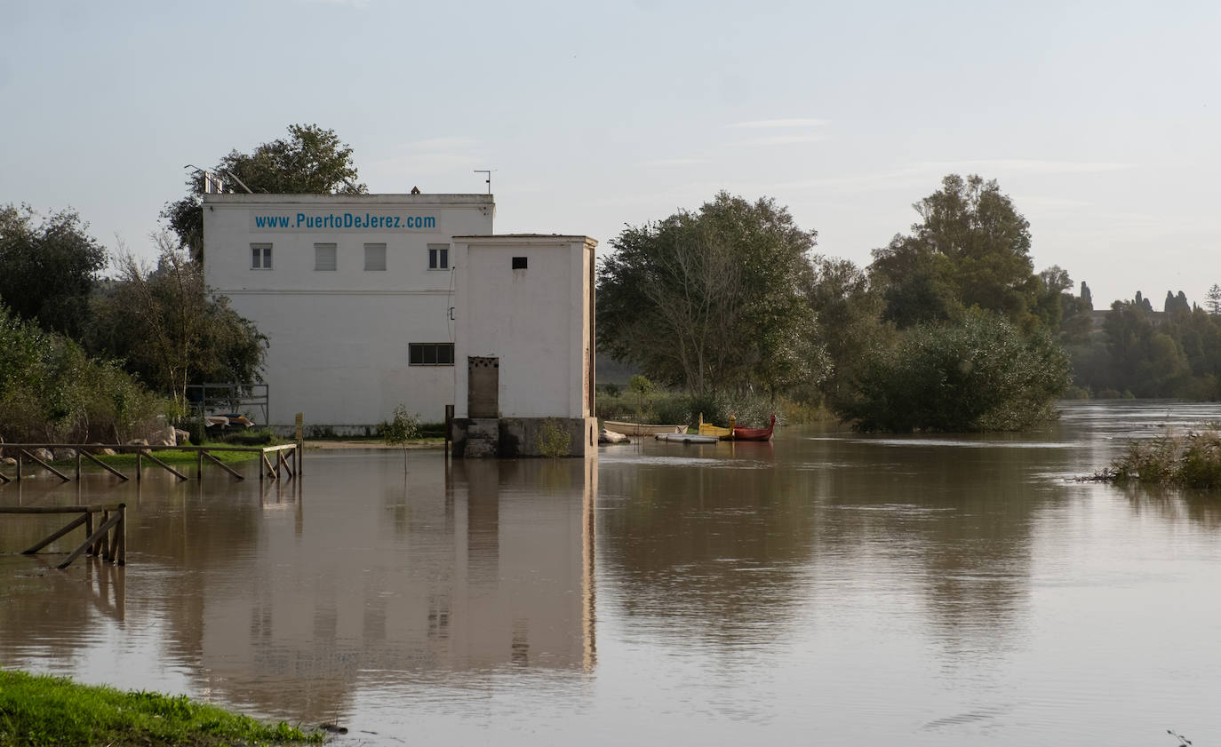 Fotos: Jerez trata de recuperar la normalidad después de las lluvias y la crecida del Guadalete