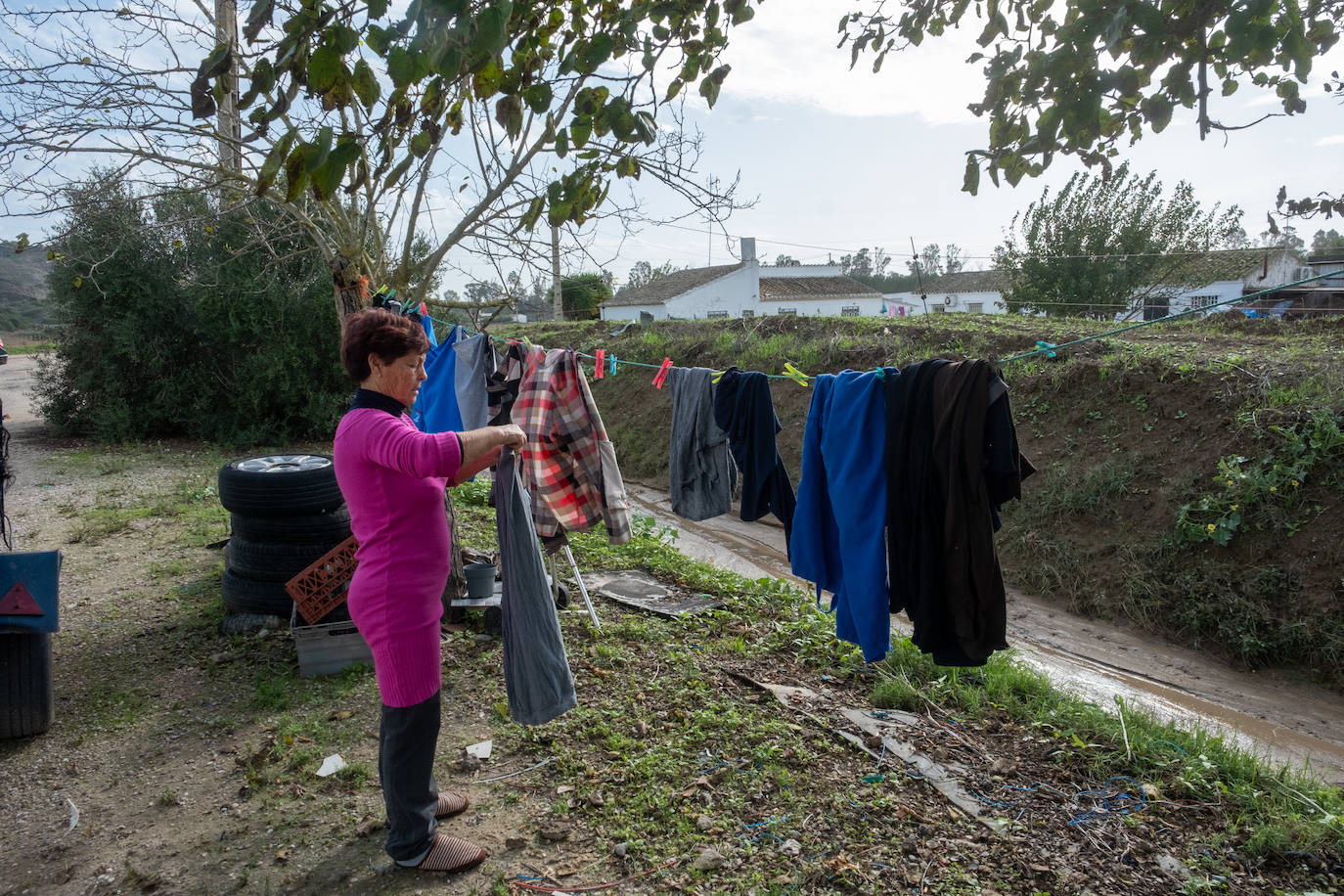 Fotos: Jerez trata de recuperar la normalidad después de las lluvias y la crecida del Guadalete