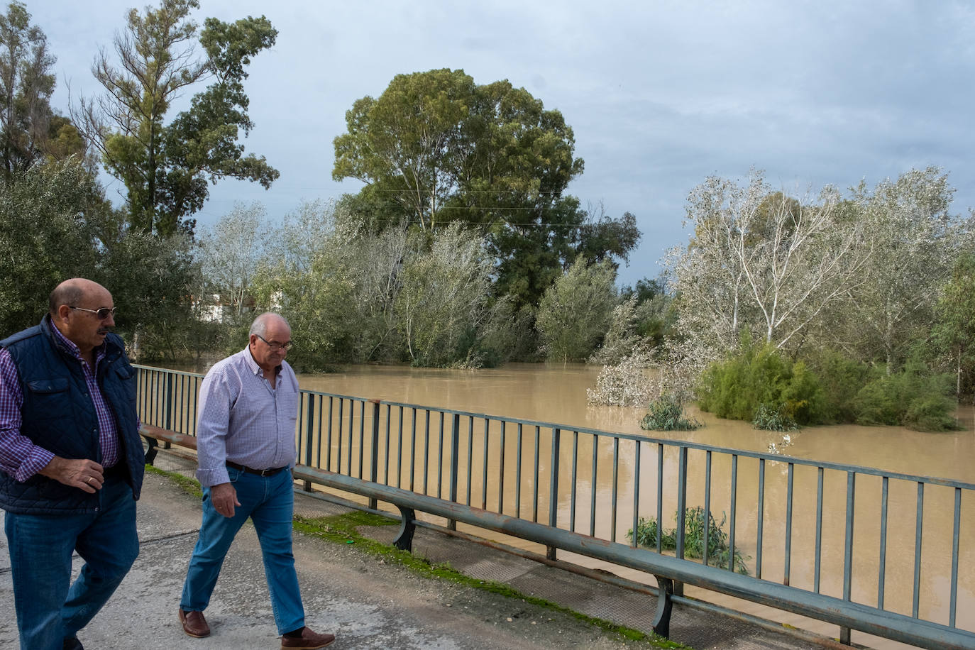 Fotos: Jerez trata de recuperar la normalidad después de las lluvias y la crecida del Guadalete