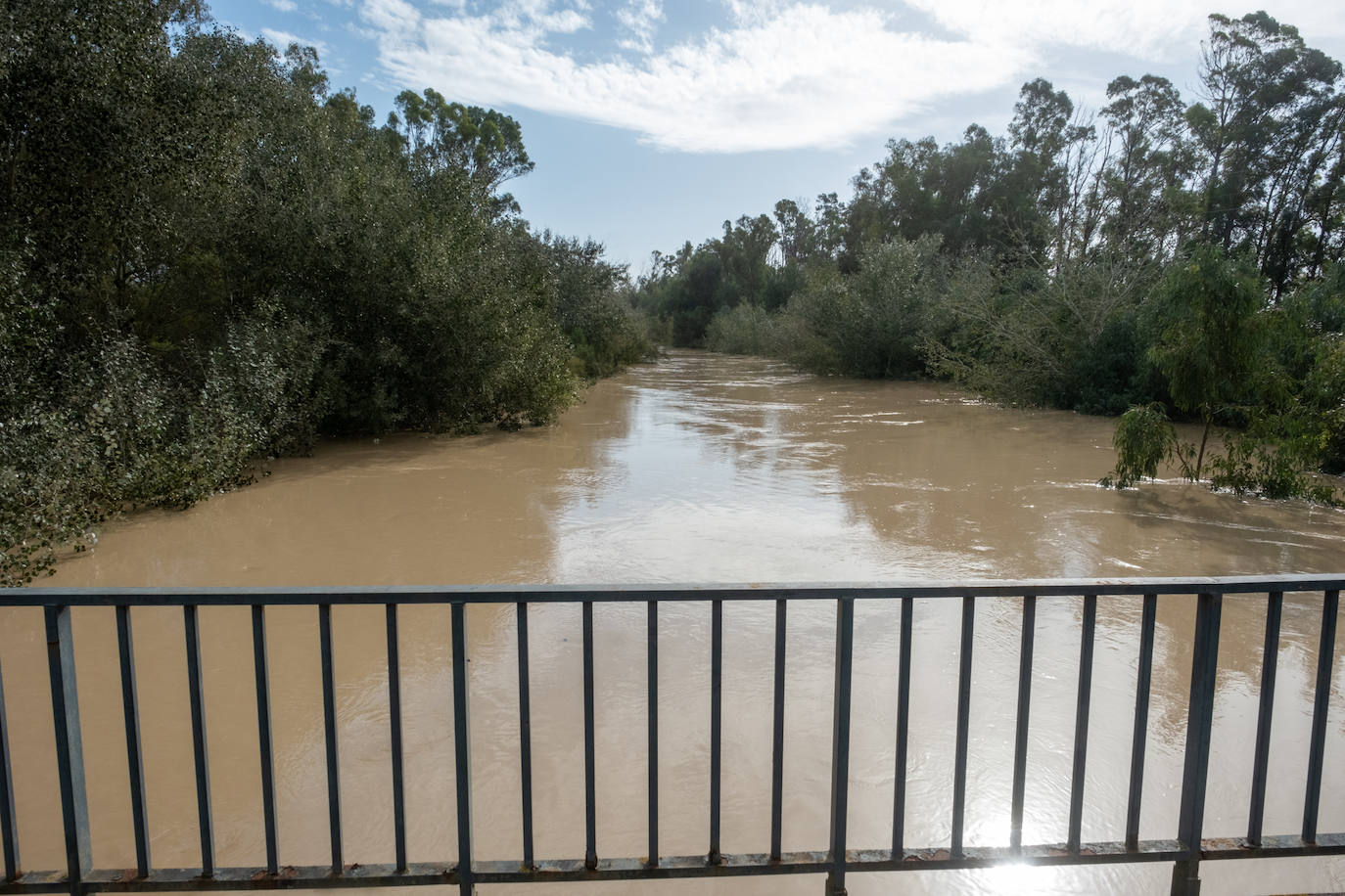 Fotos: Jerez trata de recuperar la normalidad después de las lluvias y la crecida del Guadalete