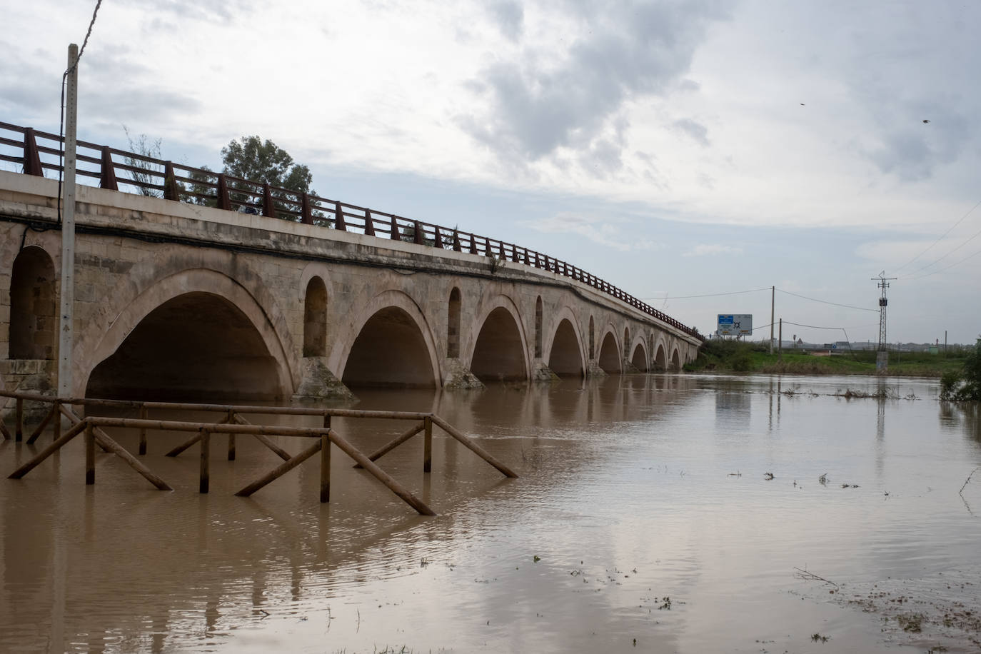 Fotos: Jerez trata de recuperar la normalidad después de las lluvias y la crecida del Guadalete