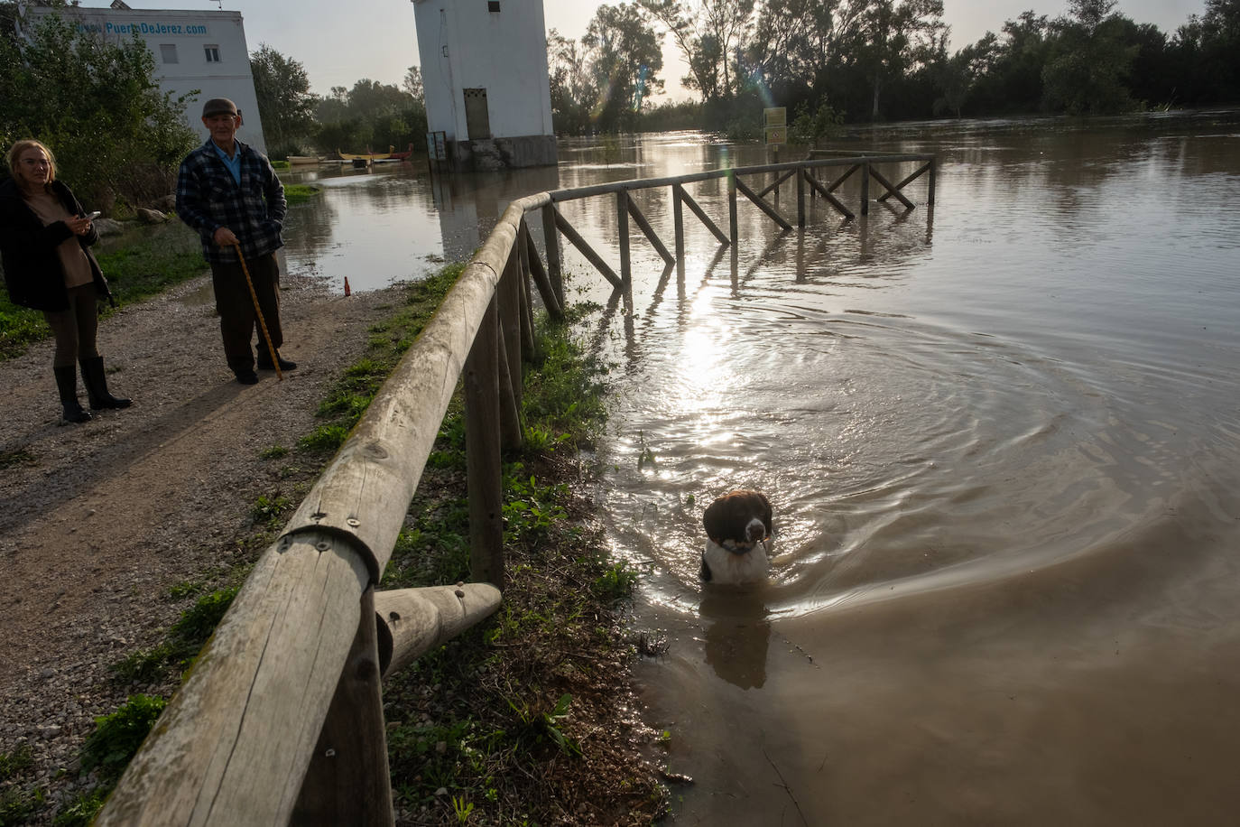 Fotos: Jerez trata de recuperar la normalidad después de las lluvias y la crecida del Guadalete