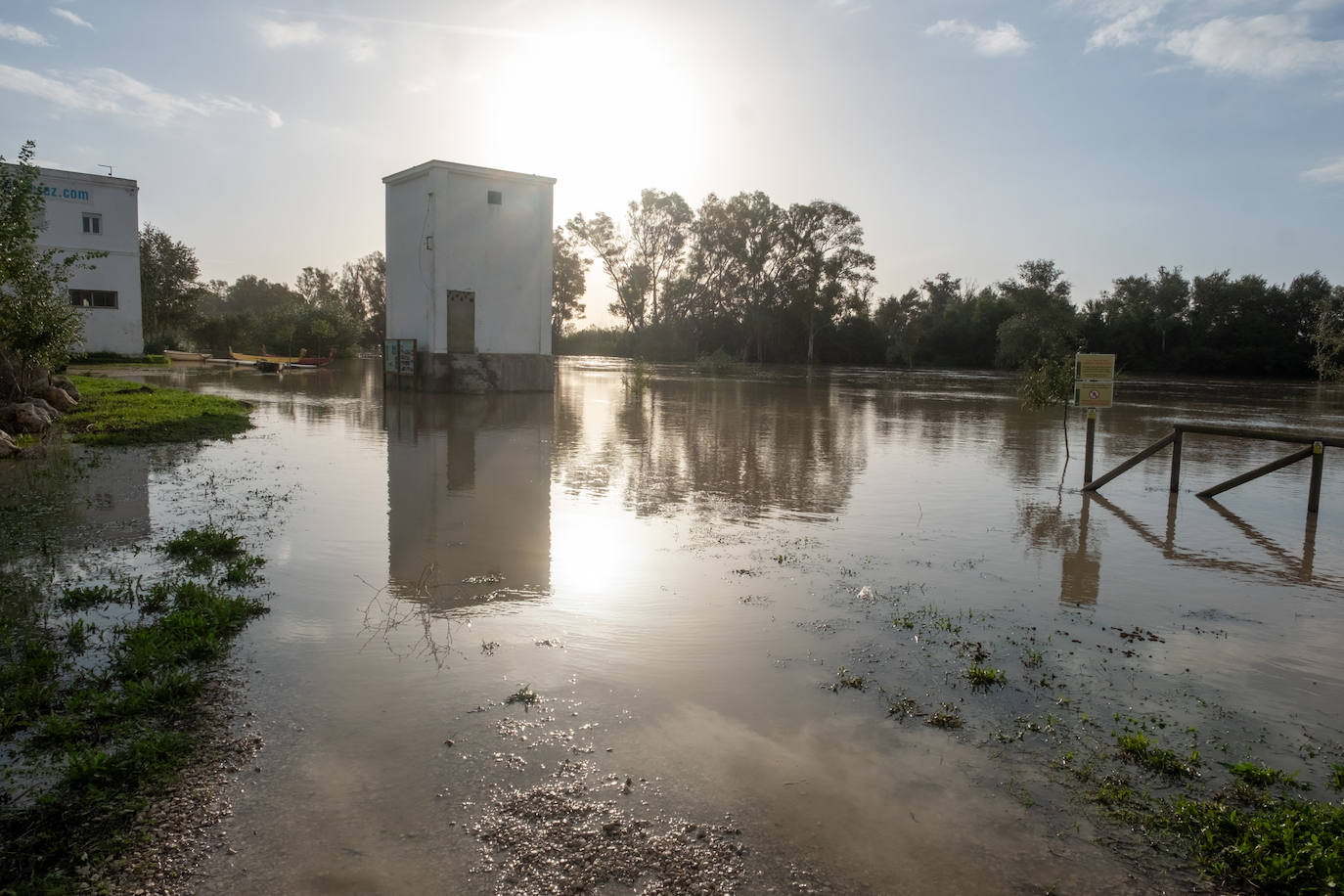 Fotos: Jerez trata de recuperar la normalidad después de las lluvias y la crecida del Guadalete