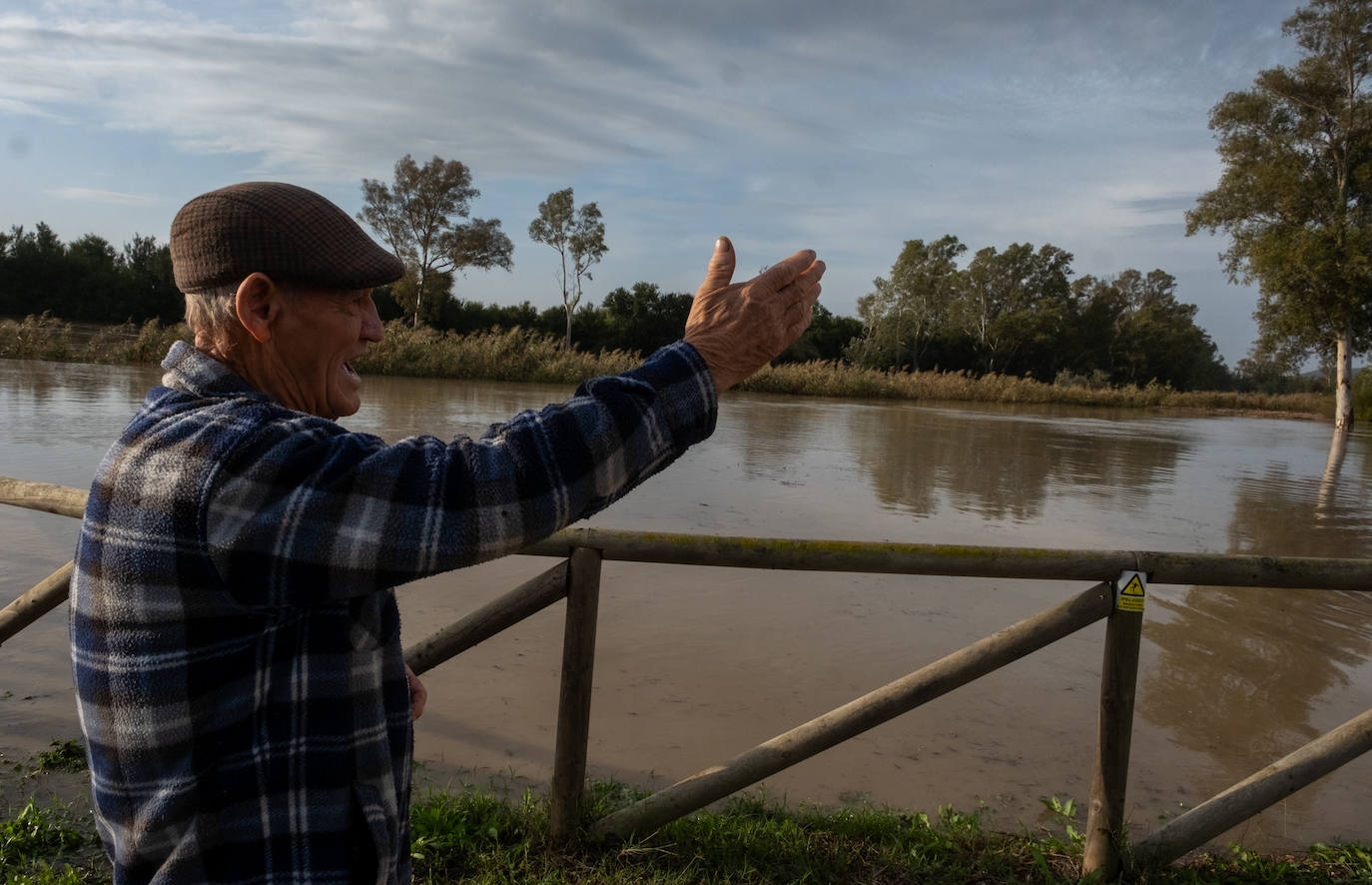 Fotos: Jerez trata de recuperar la normalidad después de las lluvias y la crecida del Guadalete