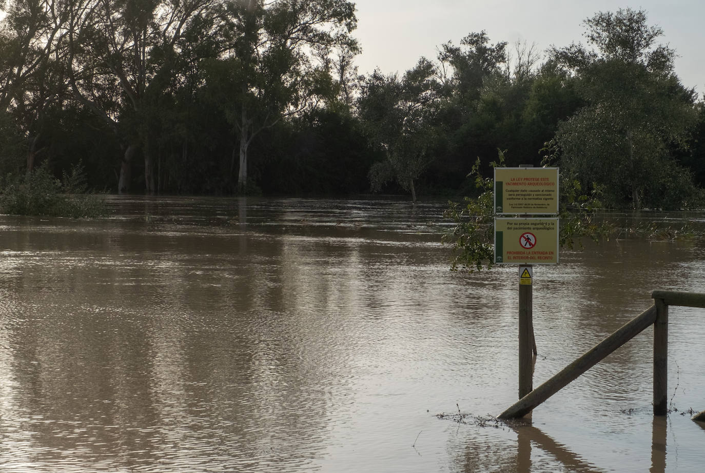 Fotos: Jerez trata de recuperar la normalidad después de las lluvias y la crecida del Guadalete