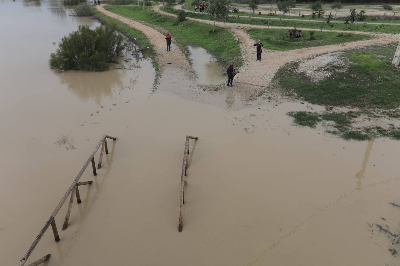 Fotos: Jerez trata de recuperar la normalidad después de las lluvias y la crecida del Guadalete