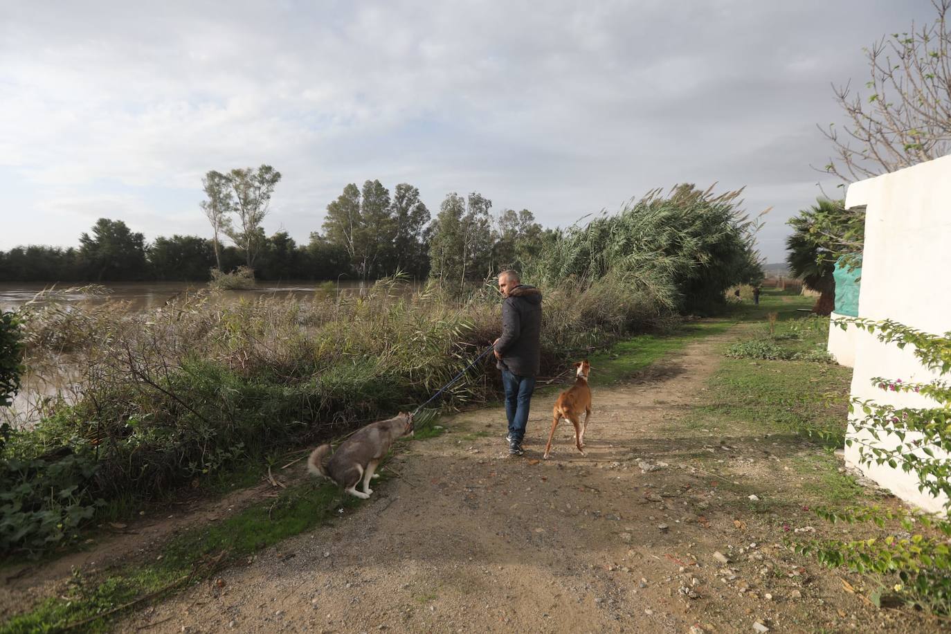 Fotos: Jerez trata de recuperar la normalidad después de las lluvias y la crecida del Guadalete