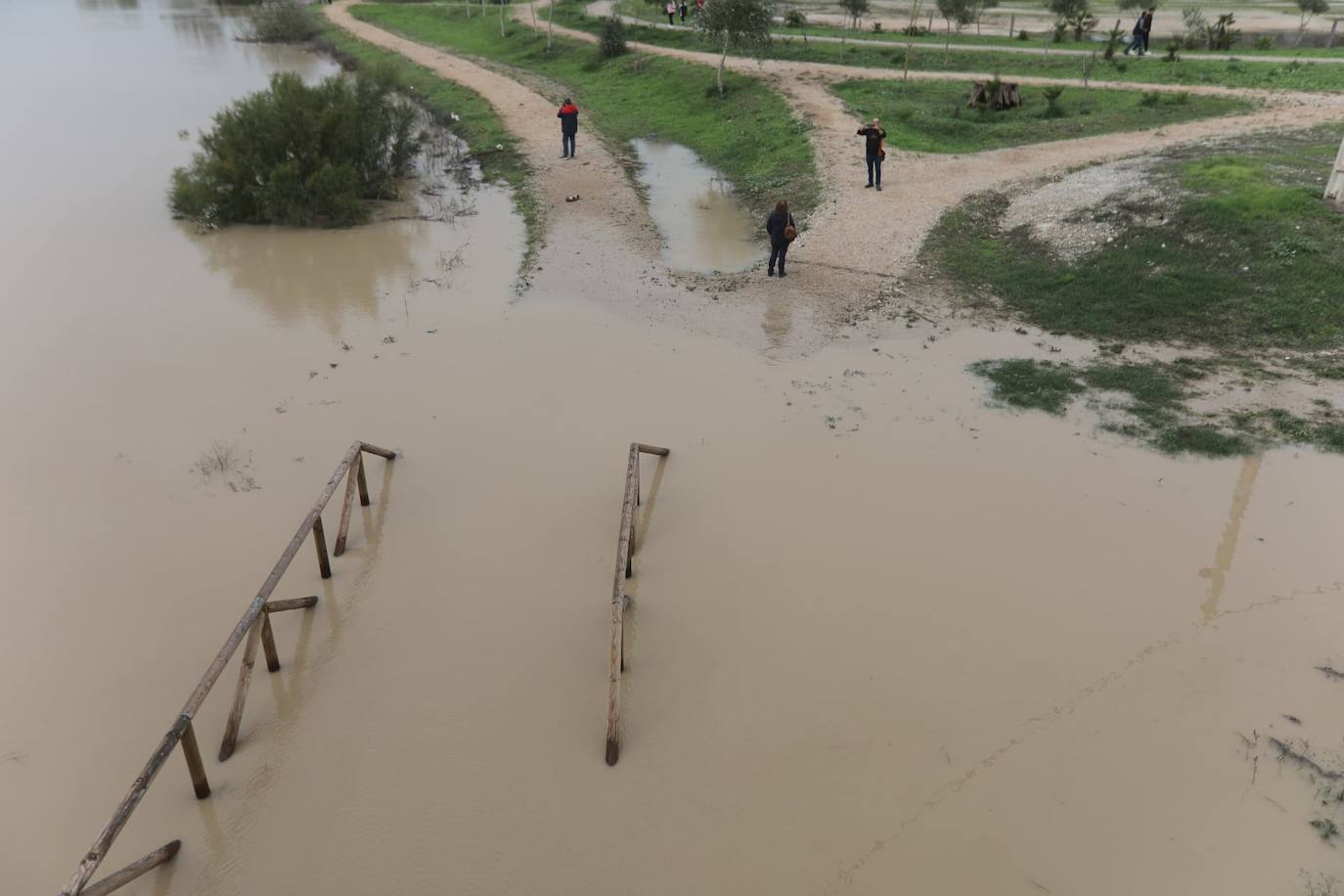 Fotos: Jerez trata de recuperar la normalidad después de las lluvias y la crecida del Guadalete