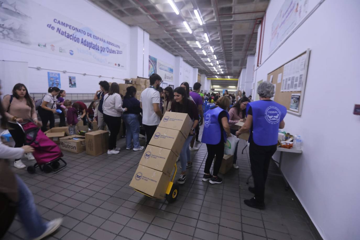 Fotos: Cádiz vuelve a mostrar cara más solidaria con ayuda para los afectados por las riadas de Valencia