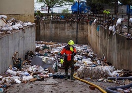 Hermandades y cofradías de La Línea recogen miles de alimentos para los afectados por la DANA