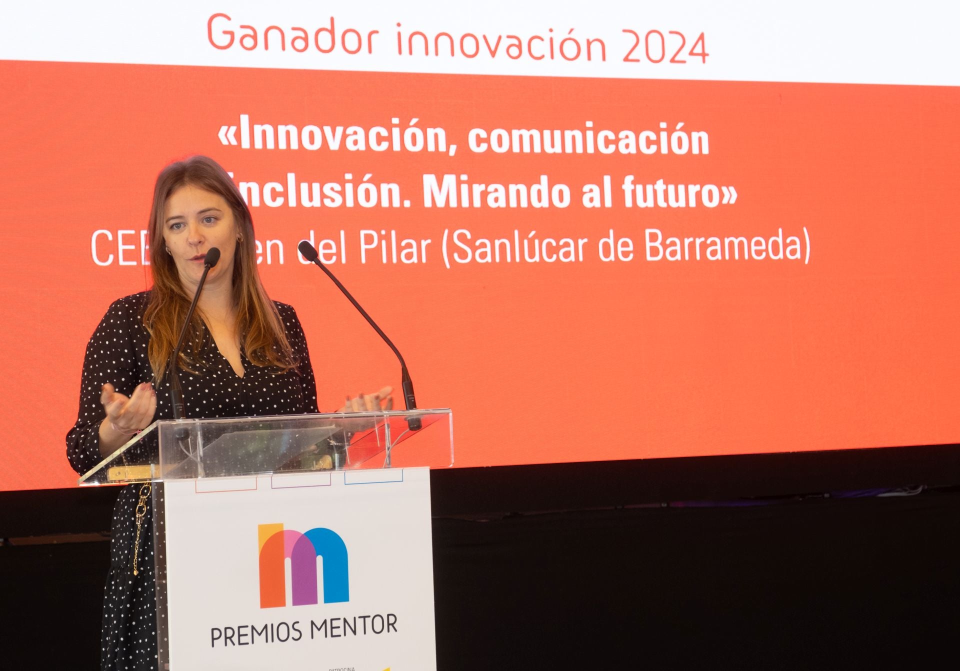 Fotos: Entrega de los Premios Mentor 2024