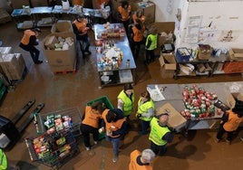 «Por ahora no necesitamos más alimentos»