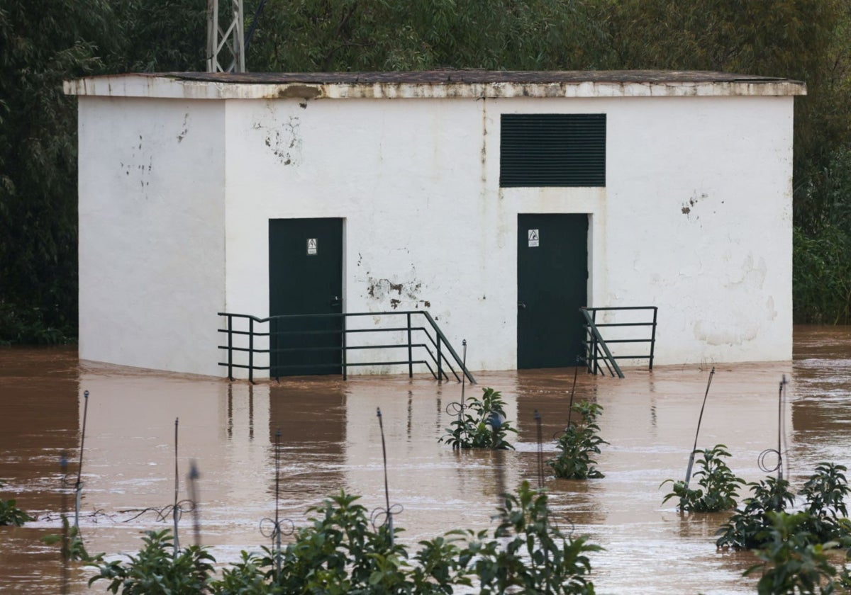 Un caseta de transformación eléctrica anegada por el agua en San Pablo de Buceite pedanía de Jimena.