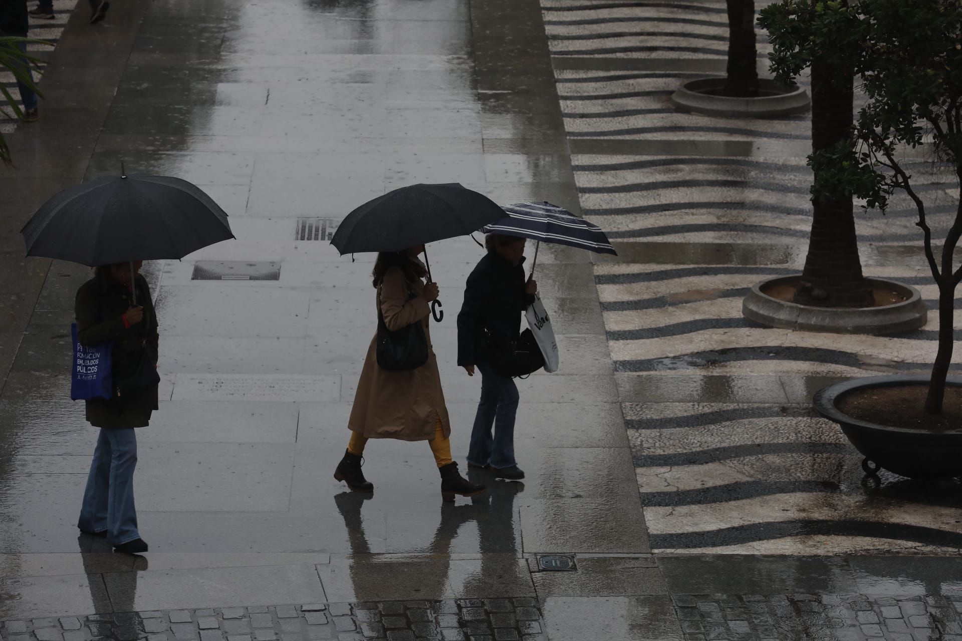 Fotos: La provincia de Cádiz sigue en aviso naranja por la DANA