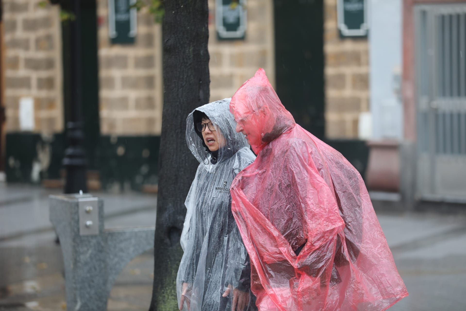 Fotos: La provincia de Cádiz sigue en aviso naranja por la DANA