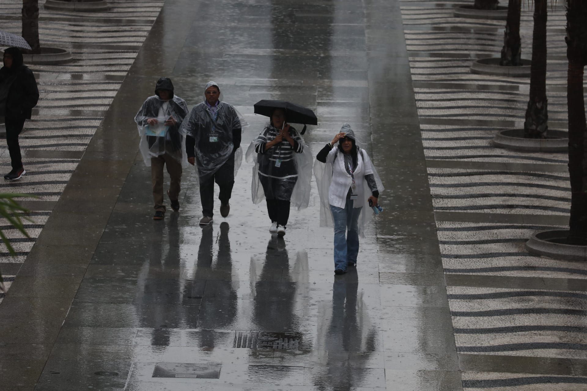 Fotos: La provincia de Cádiz sigue en aviso naranja por la DANA