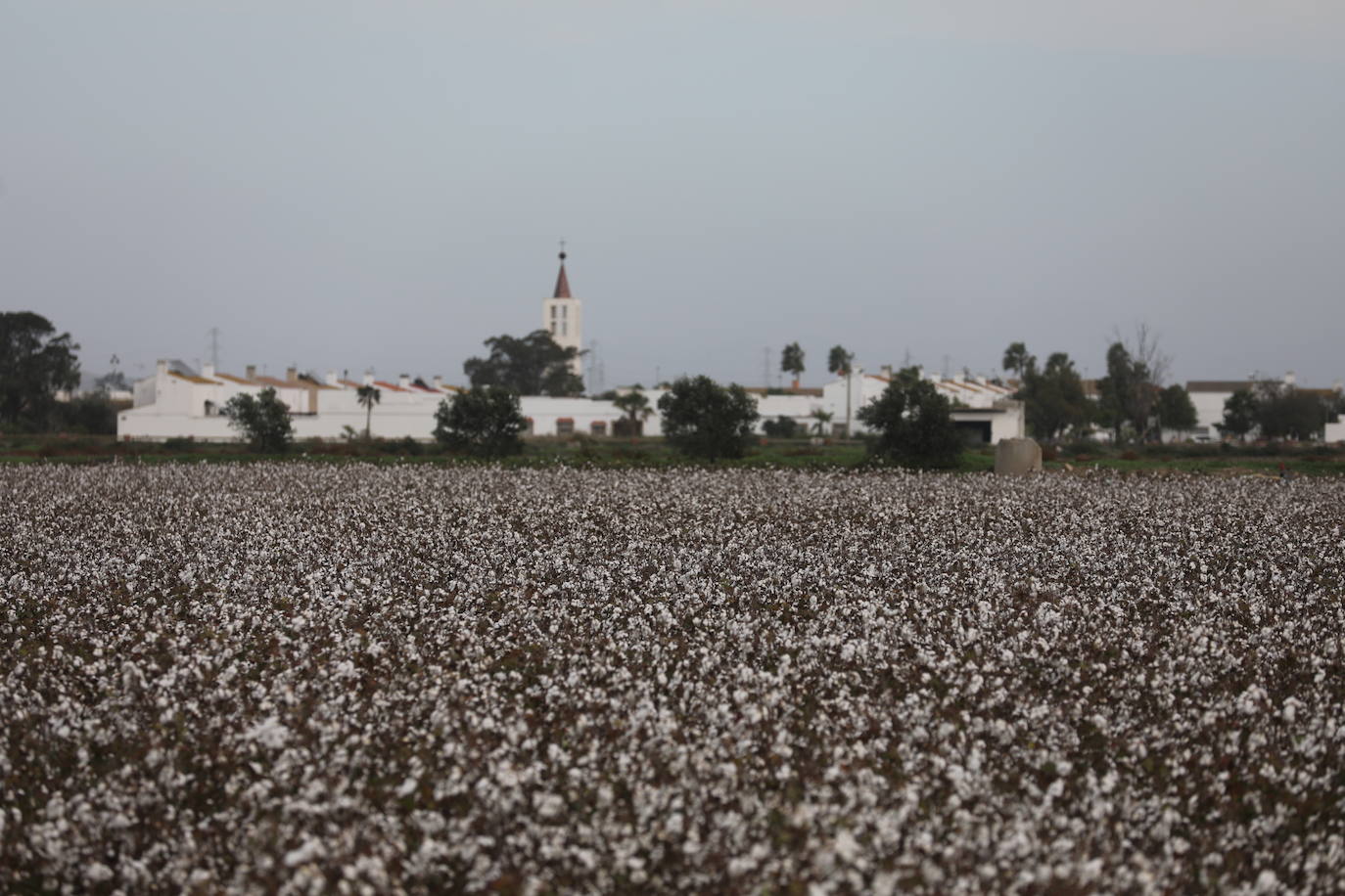 Fotos: Los efectos de la DANA en Cádiz