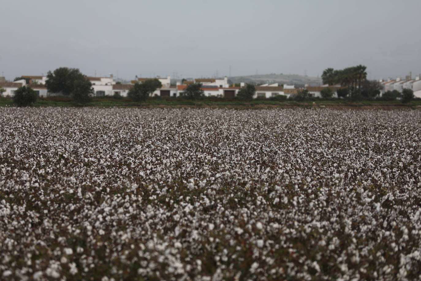 Fotos: Los efectos de la DANA en Cádiz