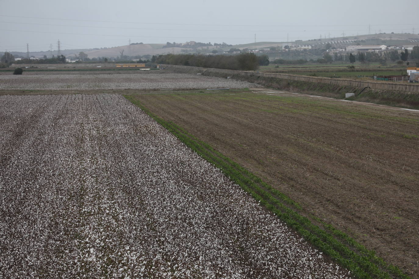 Fotos: Los efectos de la DANA en Cádiz