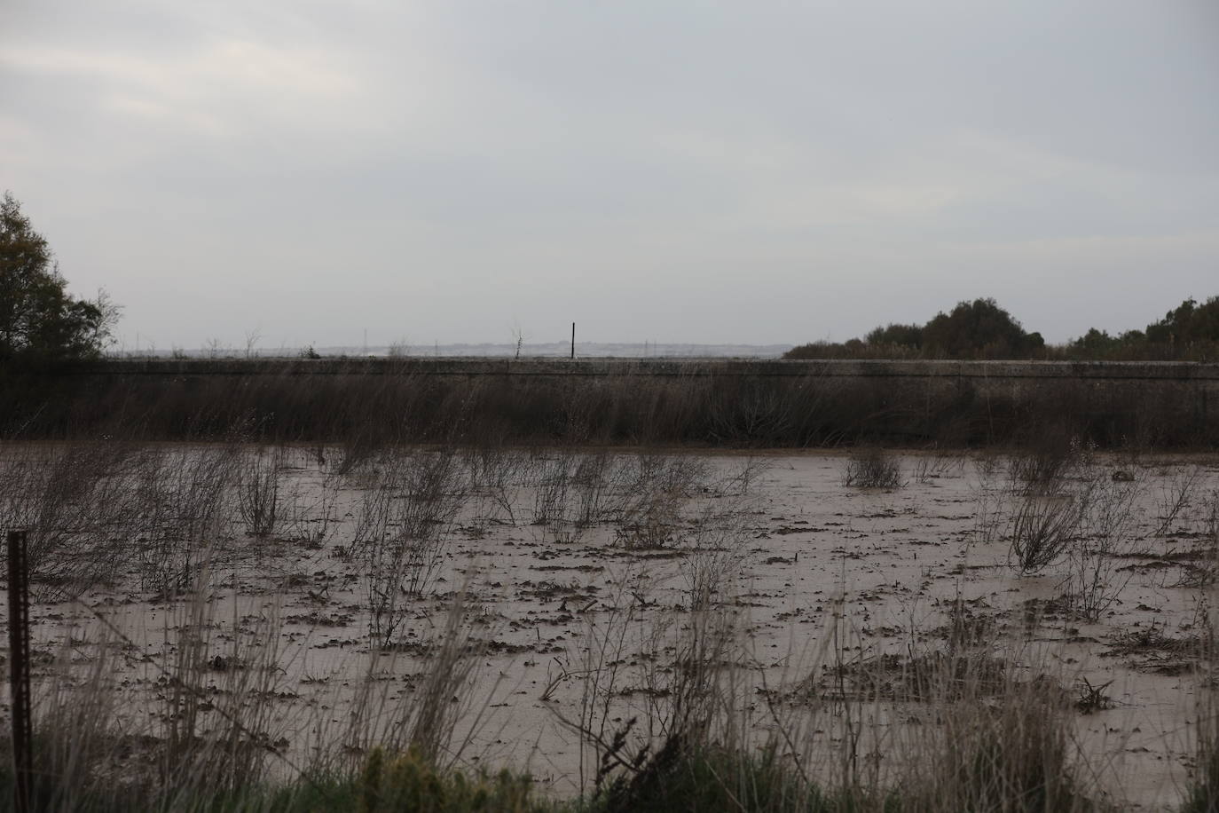 Fotos: Los efectos de la DANA en Cádiz