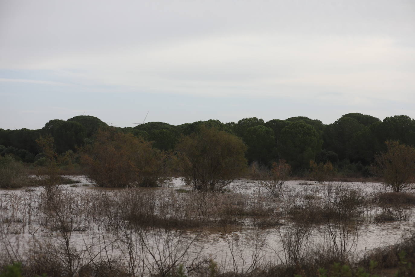 Fotos: Los efectos de la DANA en Cádiz