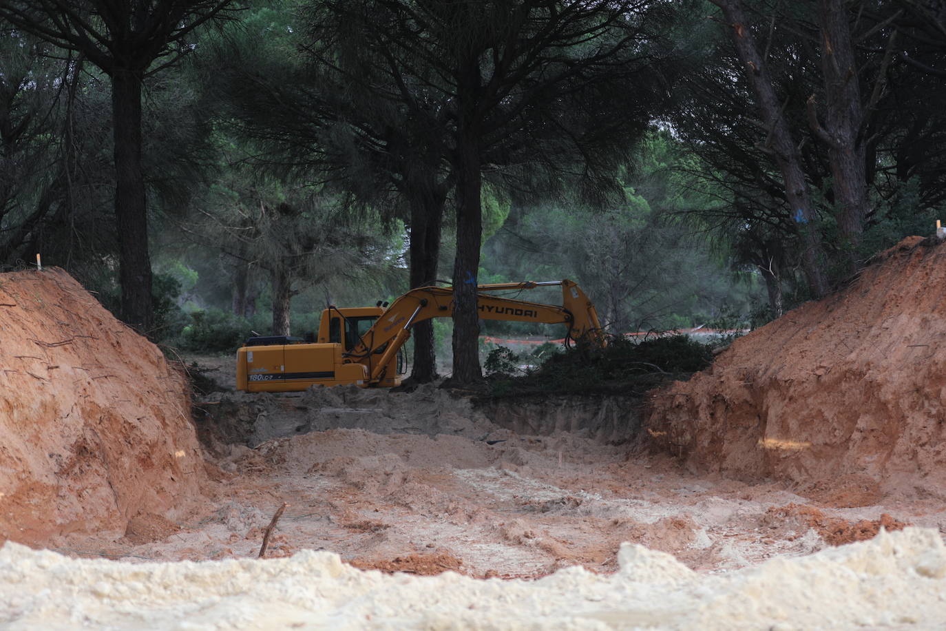 Fotos: Los efectos de la DANA en Cádiz