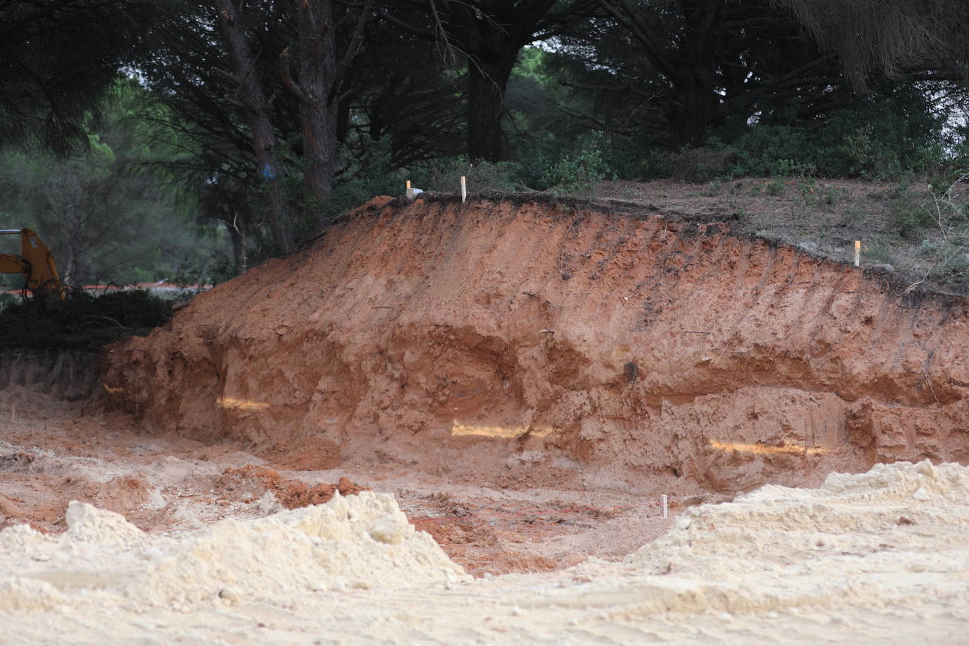 Fotos: Los efectos de la DANA en Cádiz