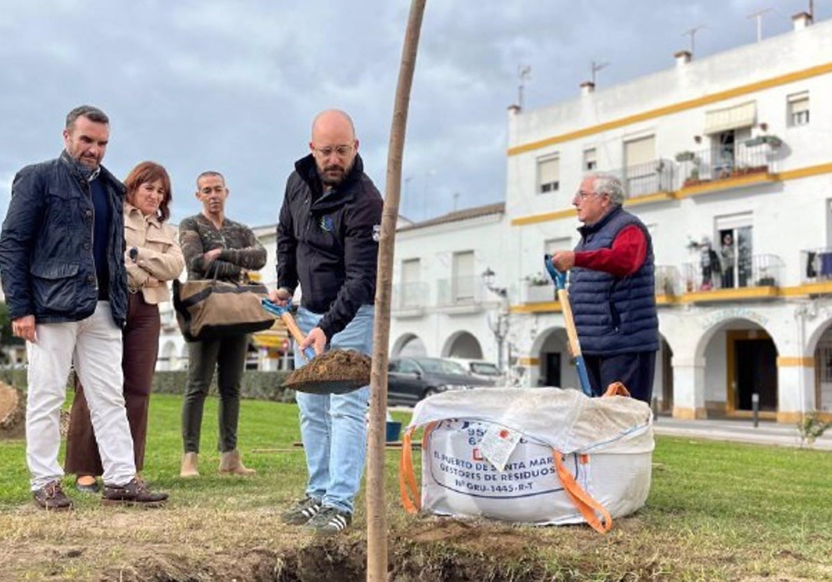 Un exótico árbol llega al paseo Fluvial de El Puerto