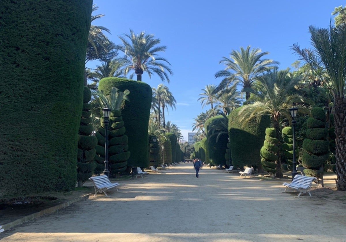 Parque Genovés de Cádiz.