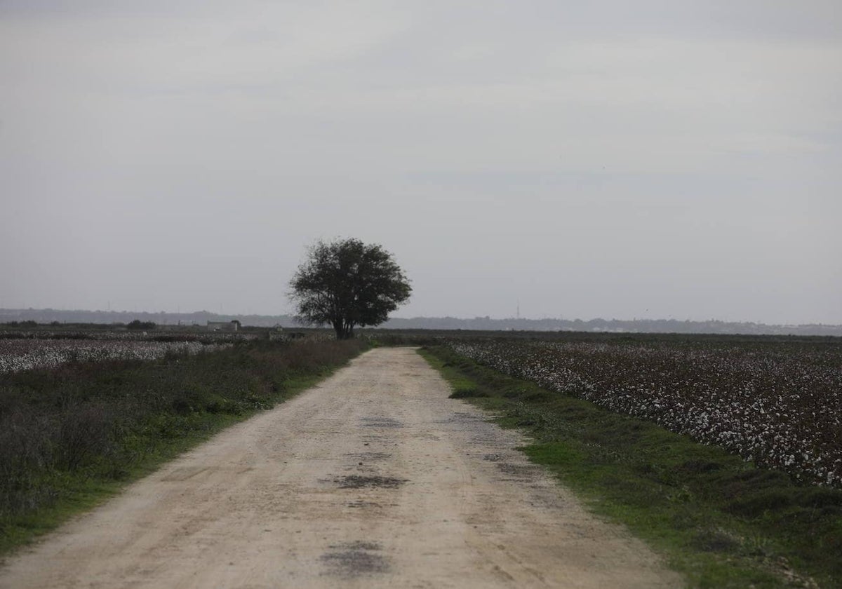 Las obras de mejora de caminos rurales dañados por la DANA comenzarán a finales de diciembre