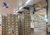 Cae uno de los mayores capos mundiales de la droga tras intervenir 3.400 kilos de cocaína en Algeciras