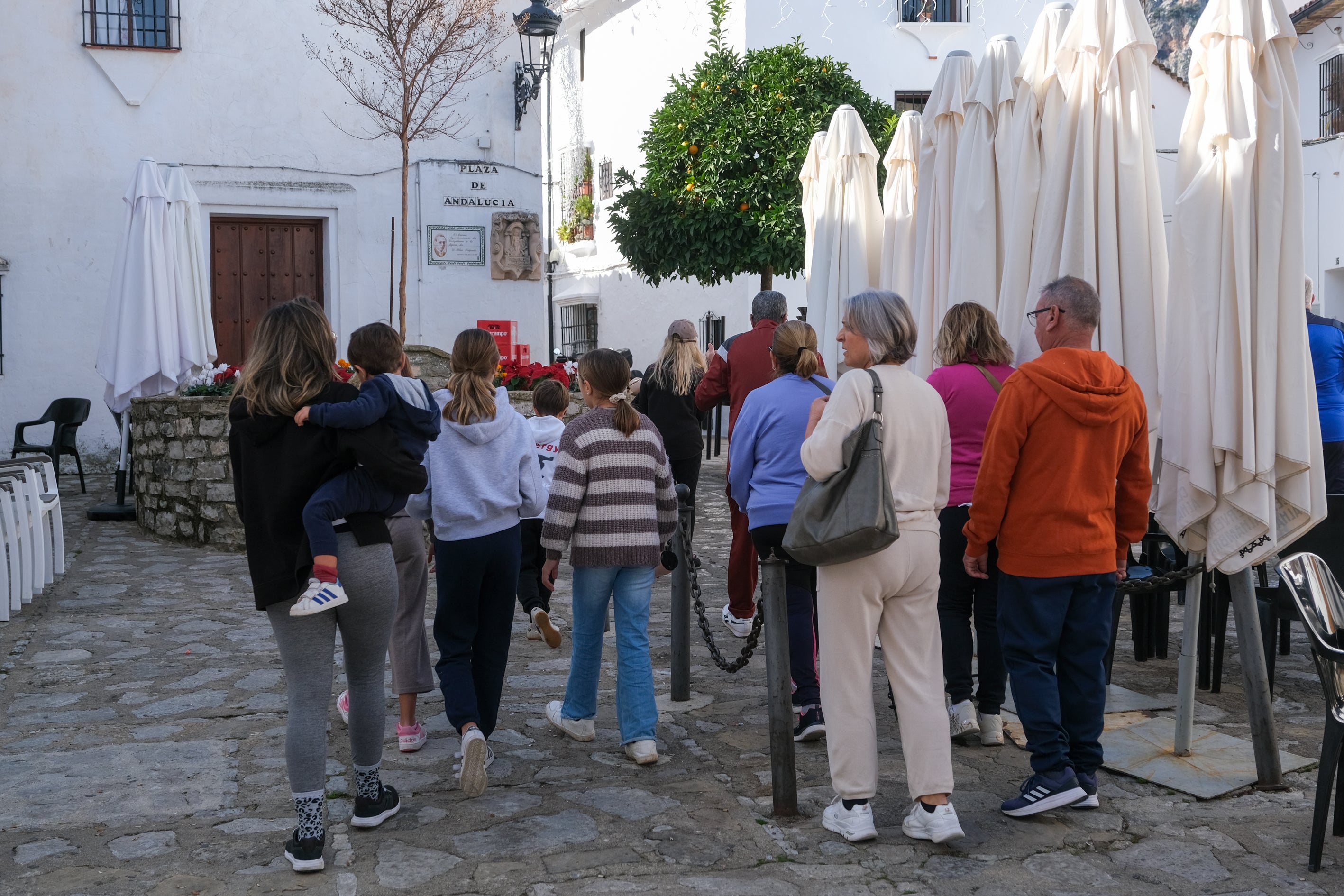 Fotos: Ambiente en la Sierra de Cádiz durante el puente de diciembre