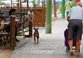 La herida que no se cierra: Cádiz vuelve a perder población, con casi mil gaditanos menos