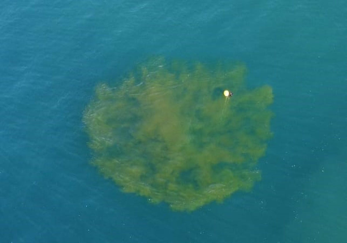 Explosión controlada de un proyectil sumergido en aguas del puerto de Melilla