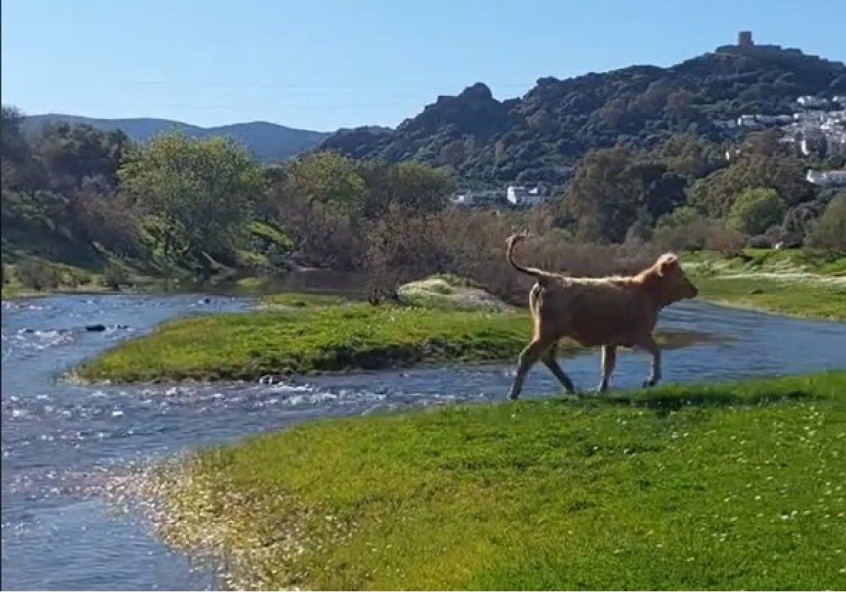 Imagen del paisaje de Jimena de la Frontera