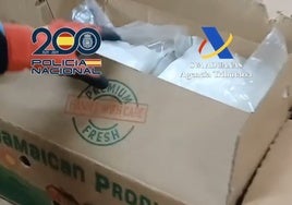 Cae una banda que introducía cocaína en Algeciras en cajas de fruta congelada