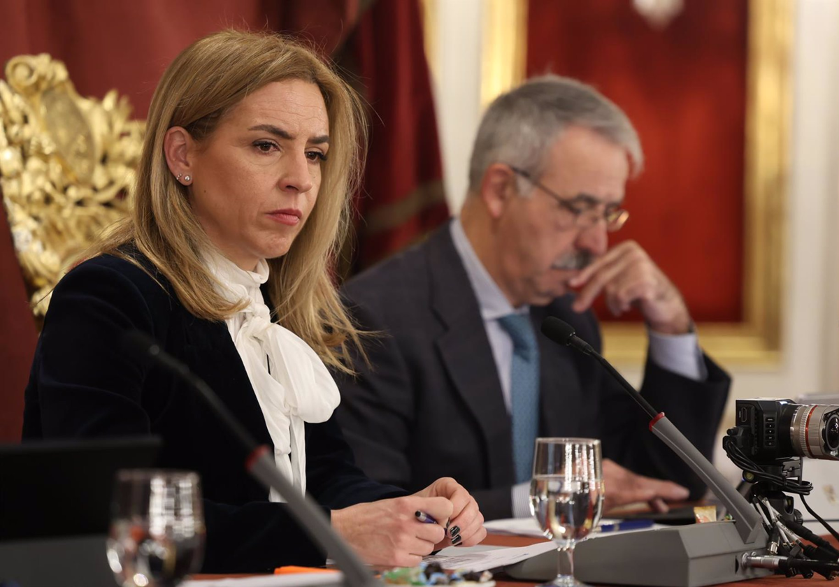 La presidenta de la Diputación de Cádiz, Almudena Martínez