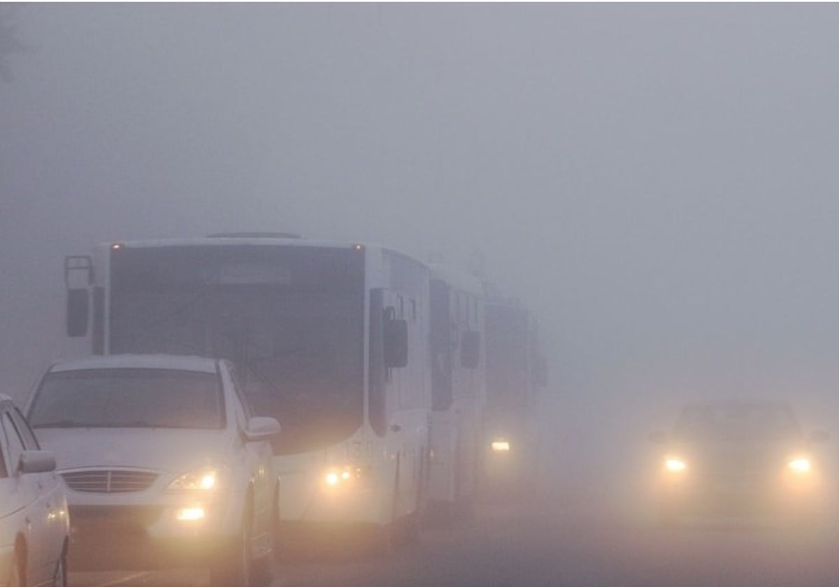 La provincia de Cádiz se ha visto afectada por la niebla