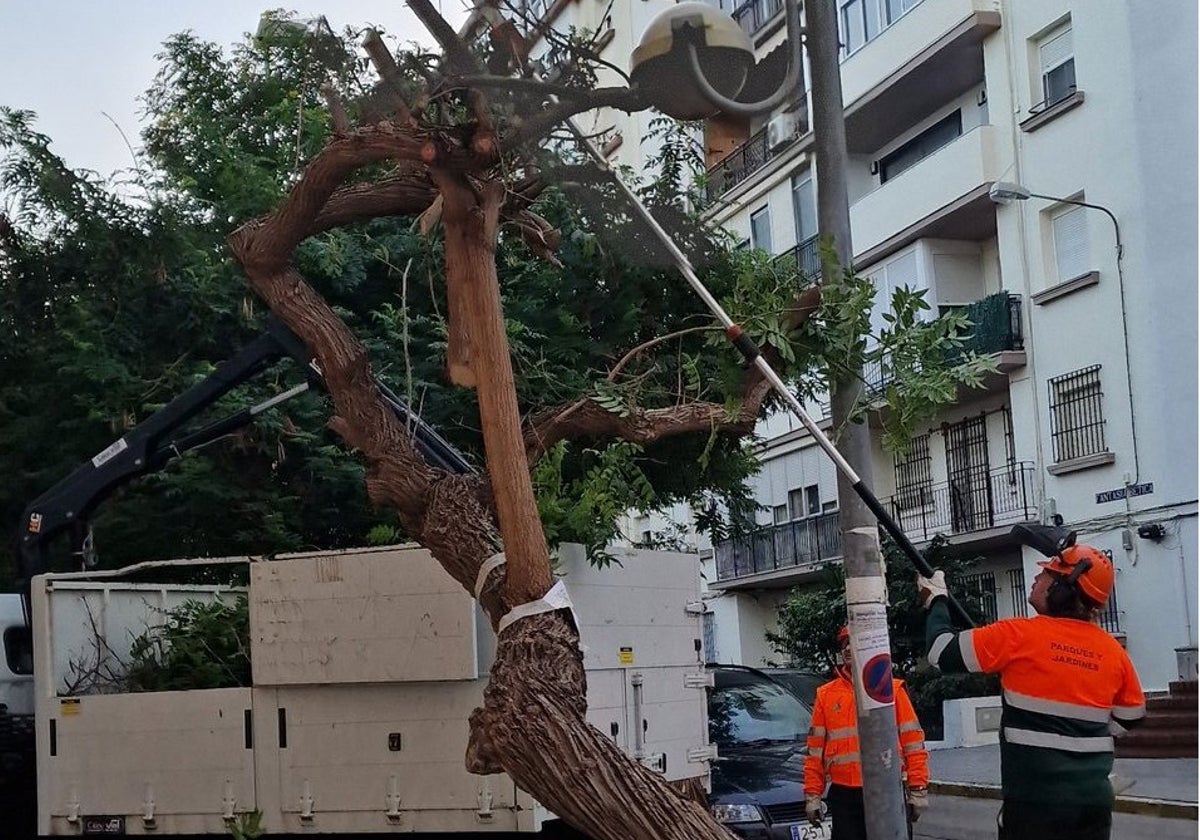 Cruce de &#039;tuits&#039; entre el Ayuntamiento de Cádiz y AIG