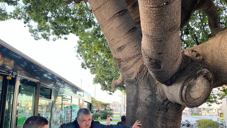 Un peligro de altura en la Cuesta de las Calesas de Cádiz