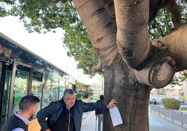 Un peligro de altura en la Cuesta de las Calesas de Cádiz