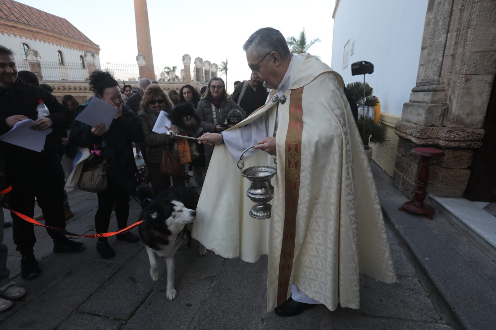 Bendición a las mascotas gaditanas en la festividad de San Antonio Abad