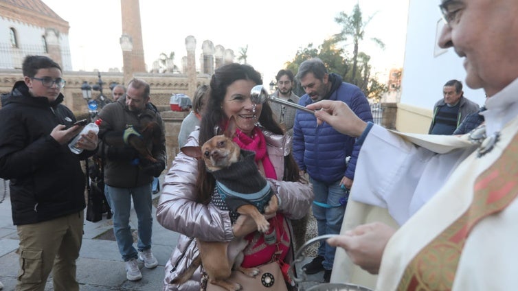 Bendición a las mascotas gaditanas en la festividad de San Antonio Abad