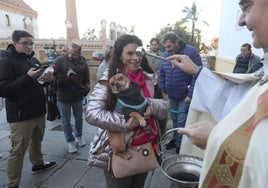 Bendición a las mascotas gaditanas en la festividad de San Antonio Abad