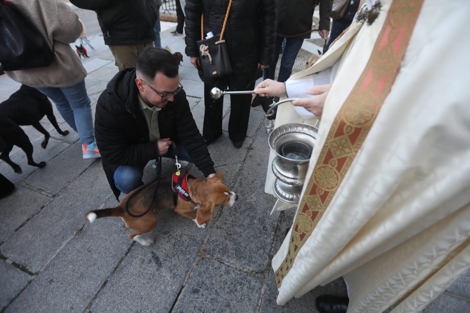 Bendición a las mascotas gaditanas en la festividad de San Antonio Abad