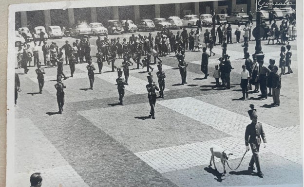 El desfile por Madrid, con la oveja al frente, tuvo mucho éxito en su momento.