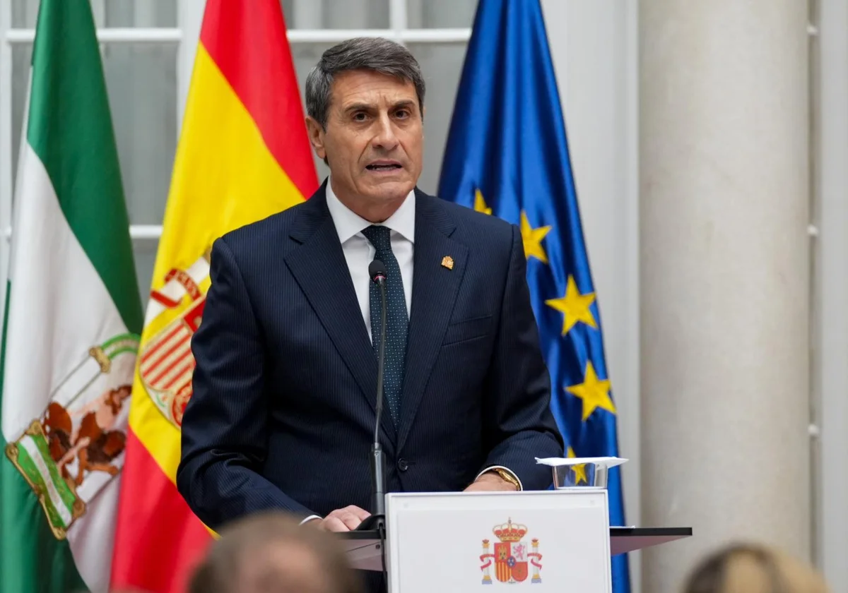 El delegado del Gobierno de España en Andalucía, Pedro Fernández